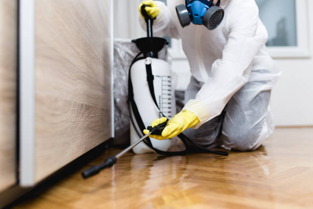 Best Bed Bug Extermination  in Rossville, TN