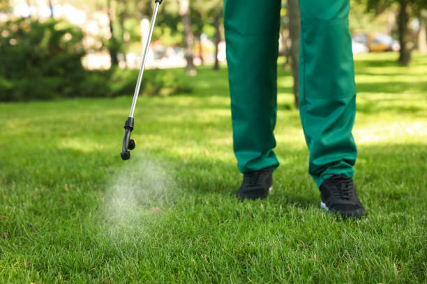 Best Rat Extermination Near Me  in Rossville, TN