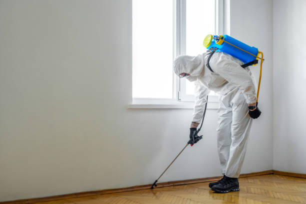 Best Best Pest Control Companies  in Rossville, TN