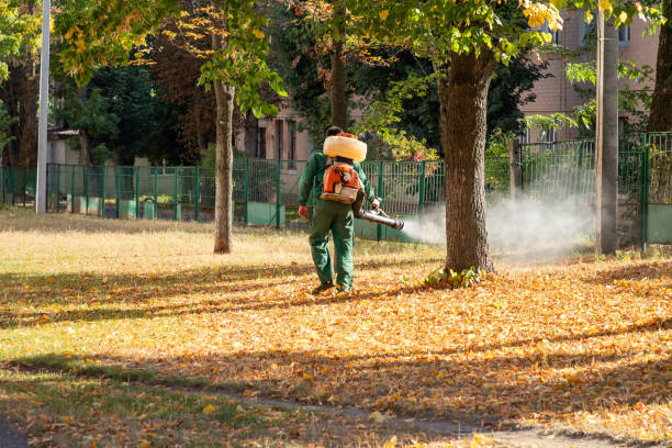 Best Cockroach Control Services  in Rossville, TN