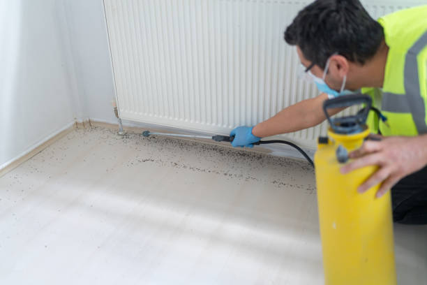 Trusted Rossville, TN Pest Control Experts