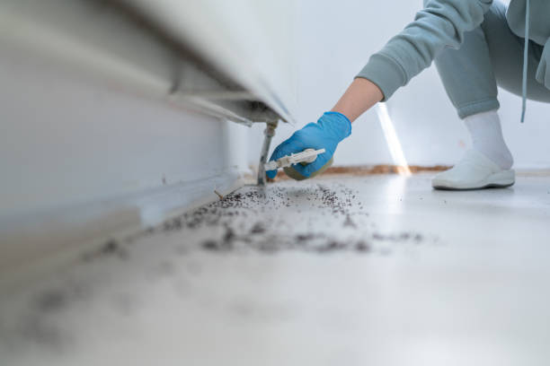 Best Pest Control for Businesses  in Rossville, TN